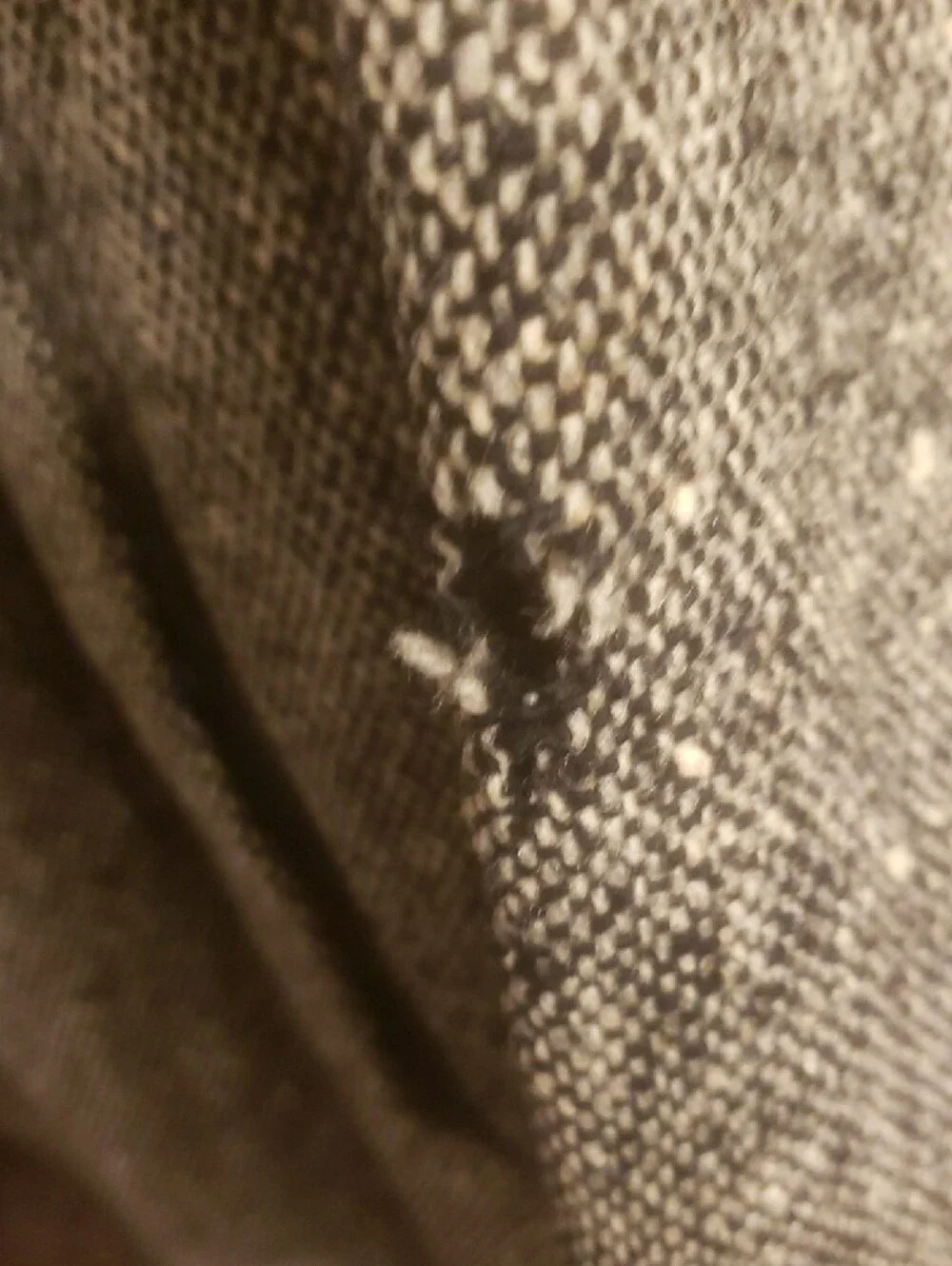 Burbeeey Tweed Balmacaan